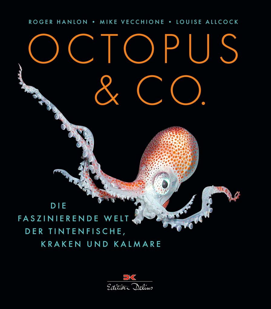 Octopus & Co.: Die faszinierende Welt der Tintenfische, Kraken und Kalmare von Roger Hanlon, Mike Vecchione und Louise Allcock