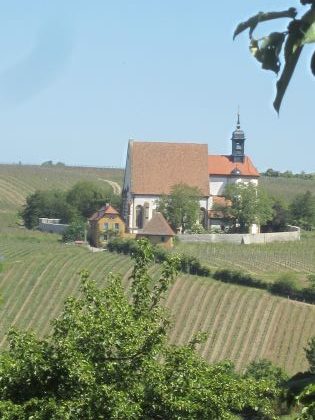 Astheim Quitte15 rotated