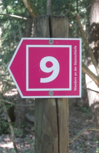 Mainschleife Wanderweg11